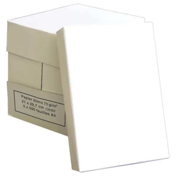 Ramette de papier blanc A4